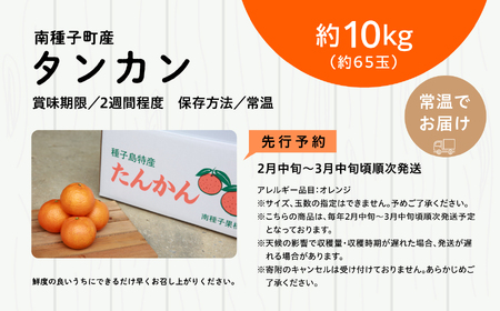 《 先行予約 》種子島産 タンカン 約10kg （約65玉）【2月中旬～3月中旬頃順次発送】【南種子町果樹部会】