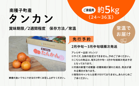 《 先行予約 》種子島産 タンカン (ご家庭用) 約5kg (24玉～36玉)【2027年2月中旬～3月中旬頃順次発送】【訳あり】【南種子町果樹部会】