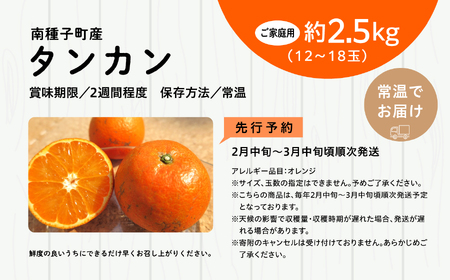 《 先行予約 》種子島産 タンカン (ご家庭用)約2.5kg（12～18玉）【2027年2月中旬～3月中旬頃順次発送】【訳あり】【南種子町果樹部会】