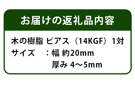 森の贈り物 木の樹脂 ピアス【徳島 那賀 木 樹脂 アクセサリー ピアス ジュエリー シンプル 上品 大人 エレガント かわいい おしゃれ オフィス 女性 レディース プレゼント ギフト 手作り】TR-12-2