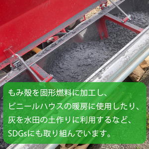 令和7年産！愛媛県産ヒノヒカリ 10kg ｜産地直送 国産 白米 ブランド米数量限定 ご当地 愛媛県 松山市【HDK0024】