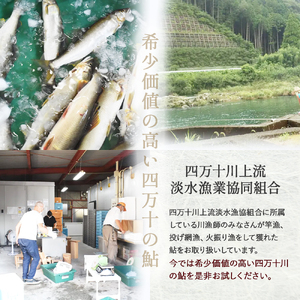 四万十川上流の天然鮎　釣り鮎【冷凍4～14尾】Esj-41k あゆ アユ 魚 魚介 川魚 塩焼き 鮎 天然 900g レシピ付 天然