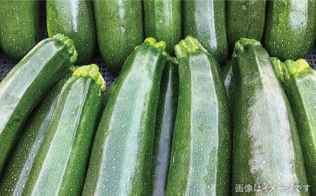 ☆キャンプにもおすすめ☆バーベキュー・グリル用朝採れ野菜特選セット【福岡県糸島産】(7-8人分) 糸島市 / オーガニックナガミツファーム 野菜 詰め合わせ 	[AGE039]