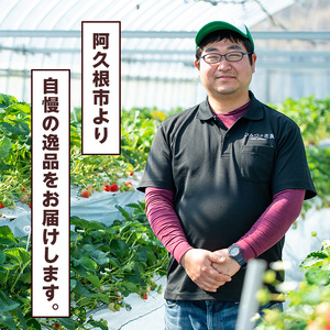 阿久根市産レモン使用！レモンクラフトビール(330ml×6本) お酒 アルコール クラフトビール 果物 フルーツ レモン れもん 檸檬 飲料 飲み物 ドリンク フルーティー ビール【農園ガーデン空】akn026-08