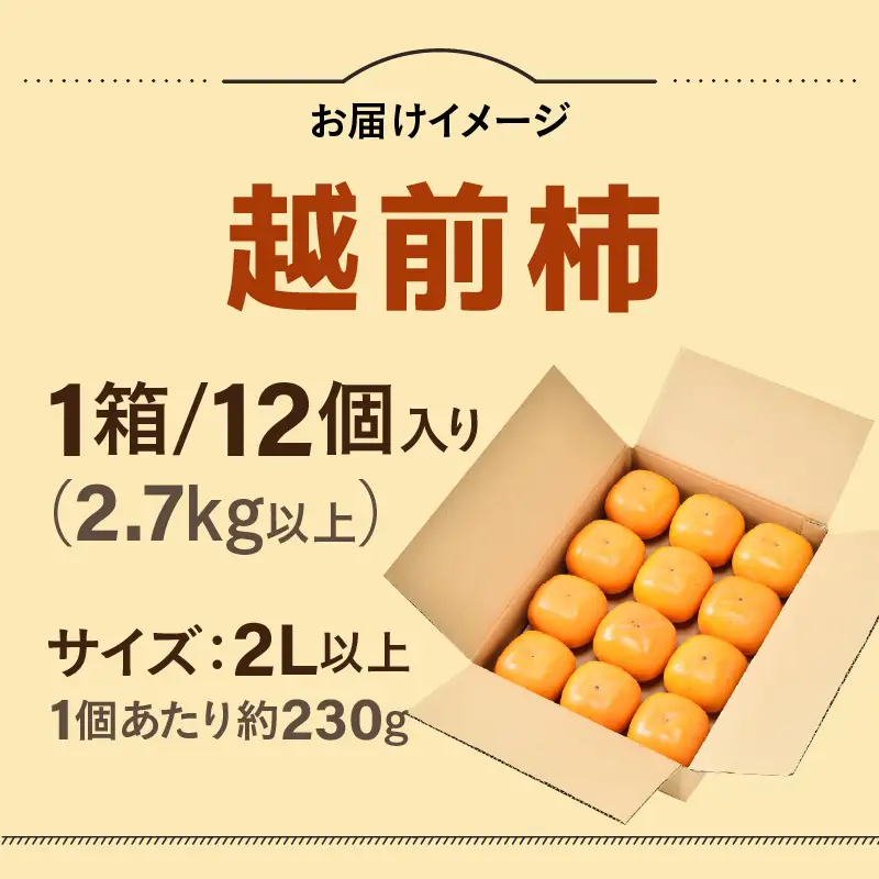 【先行予約】【種なし】 甘い！越前柿12個入り 脱渋済み 本場柿原郷で収穫 / かき フルーツ 福井県 あわら市 甘い 大きい柿 秋 旬 平核無柿 刀根早生柿 甘柿 シャキシャキ たねなし 果物 食物繊維 ビタミンC ※2026年10月中旬以降順次発送予定 [aw082-a001]