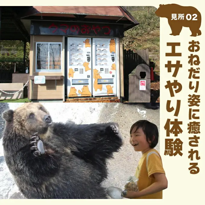 のぼりべつクマ牧場入場券 小人（小学生以下）1名様
