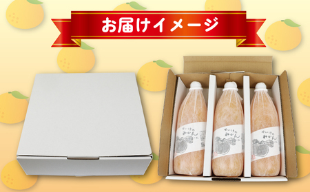 みかんジュース 1,000ml×3本 清家 ジュース H018-170001