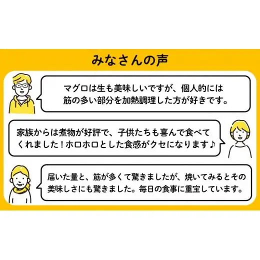 【訳あり】メバチマグロ ハランボ 900g  腹身腹身腹身マグロマグロマグロ TY034