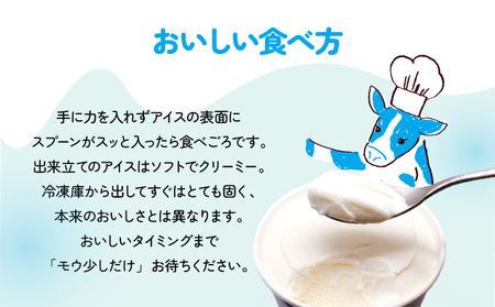 【ふるなび限定】濃厚グラスフェッドミルクアイスクリーム『大地のアイス モウっと登別ミルクセット』120ml×6個 登別ミルク グラスフェッド ミルク アイスクリーム（lb10-01）FN-Limited-PR