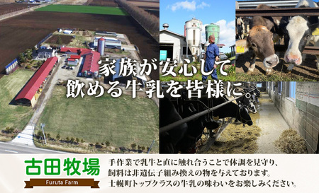 北海道 古田牧場 生 ソフトクリーム 2種 140ml×12個 ミルク 季節限定 牧場 アイスクリーム 牛乳 生乳 スイーツ デザート 詰め合わせ 詰合せ 十勝 士幌町【MB01】