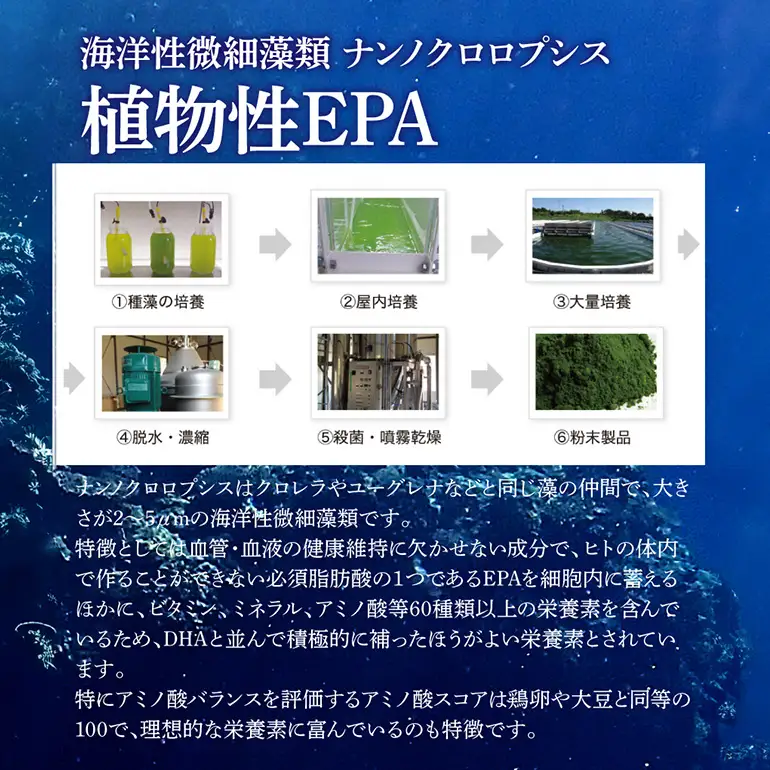 【金秀バイオ】藻の極み 3個 セット 90日分(約3ヶ月分) サプリ サプリメント 植物性 DHA EPA フコイダン オメガ3 脂肪酸 カプセル 沖縄 もずく モズク オキナワモズク 海藻 原料 健康食品 中性脂肪 コレステロー 対策 予防 食品 沖縄県 糸満市