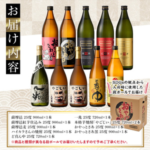 鹿児島 本格 焼酎 9種 飲み比べ 小瓶 10本 セット(各720ml・900ml)【大隅家】B96-v03
