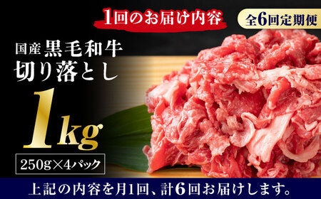 【6回定期便】熊本県産 黒毛和牛 切り落とし 計約1kg (約250g×4P)【有限会社九州食肉産業】九州 熊本県産 切り落とし 小分け 牛肉 和牛 国産 A4 A5ランク 小分け [ZDQ033]