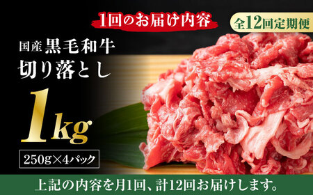 【12回定期便】熊本県産 黒毛和牛 切り落とし 計約1kg (約250g×4P)【有限会社九州食肉産業】九州 熊本県産 切り落とし 小分け 牛肉 和牛 国産 A4 A5ランク 小分け [ZDQ034]