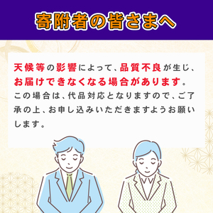 みかん 訳あり 愛果28号 5kg 中井屋 みかん B015-173001