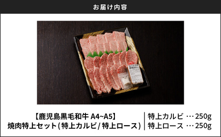 【 鹿児島 黒毛和牛 A4 ～ A5 】 焼肉 特上 セット ( 特上カルビ / 特上ロース ) K189-007 肉 牛肉 冷凍