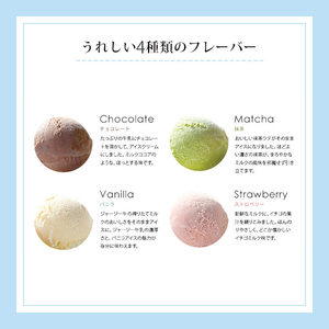 共進牧場 ジャージーミルクアイスクリーム 4種7個 スイーツ アイス 濃厚 兵庫県 小野市 お菓子 デザート 希少 風味 コク 鮮度 牛乳 搾りたて 美味しい 
