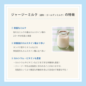 共進牧場 ジャージーミルクアイスクリーム 3種12個 スイーツ アイス 濃厚 兵庫県 小野市 お菓子 デザート 希少 風味 コク 鮮度 牛乳 搾りたて 美味しい 