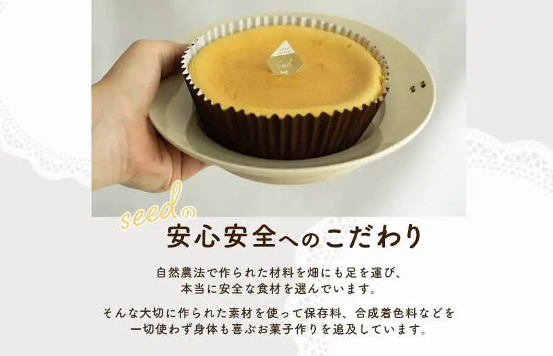 レイヤーチーズケーキ 6個セット（苺／コーヒー）