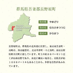学んで遊べる！長野原町かるた【教材 学べる おすすめ 群馬県 長野原町 北軽井沢】