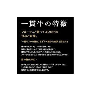 阿波牛＆一貫牛定期便（3ヶ月コース)