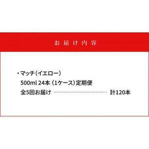 【定期便全5回】マッチ MATCH 500ml×24本 計120本 炭酸飲料 微炭酸 ビタミン炭酸 炭酸 ソーダ―