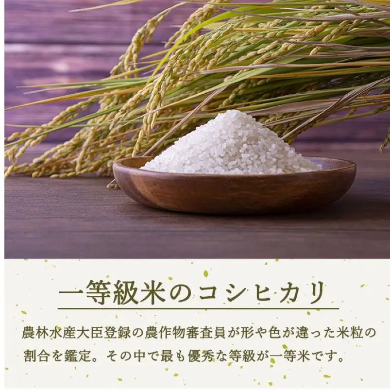 定期便 4ヶ月 ベストファーマーズ賞受賞 コシヒカリ 玄米 2kg 無農薬 無添加 令和８年産 お米 チャック付 チャック 小分け 少量 少量パック 白米 精米 一等米 産地直送 送料無料 長野 定期 4回