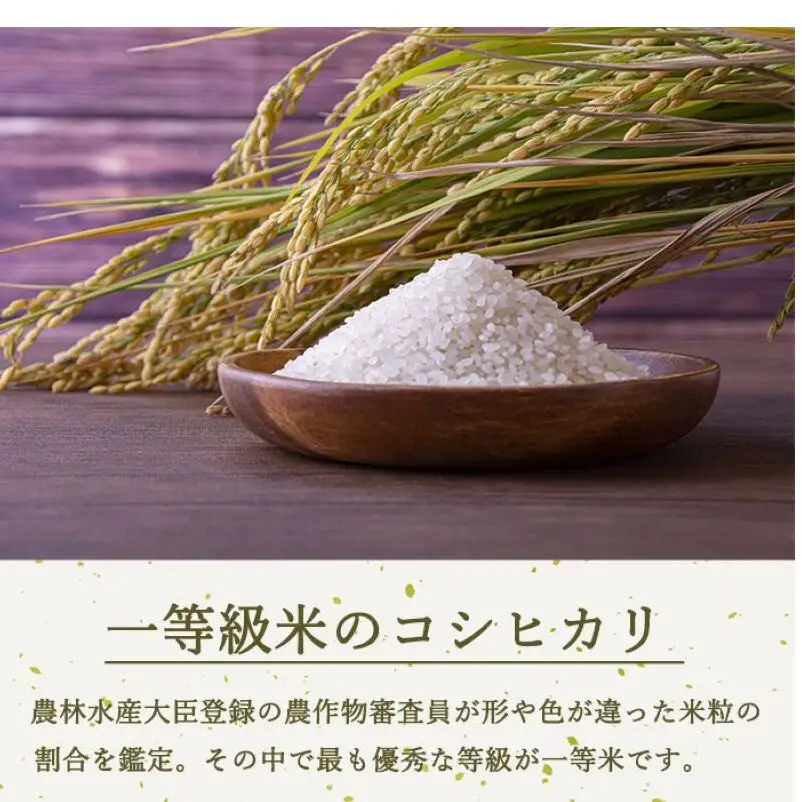 定期便 6ヶ月 ベストファーマーズ賞受賞 コシヒカリ 玄米 5kg 無農薬 無添加 令和8年産 お米 チャック付 チャック 小分け 少量 少量パック 白米 精米 一等米 産地直送 送料無料 長野 定期 6回