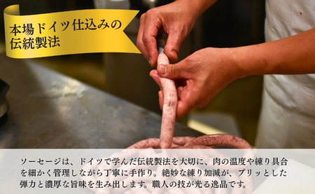 メインディッシュグリルセット お肉 豚肉 ハム ソーセージ ジューシー ドイツのスパイス 詰め合わせ 惣菜 サラダ おつまみ 