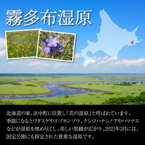 霧多布湿原を中心とする環境保全活動への寄附　霧多布湿原を中心とする環境保全活動への寄附 4,000円 寄附 支援 寄付のみ 返礼品無し 寄付金 霧多布湿原 国定公園 花の湿原 景観保全 動植物の保全 湿原を再生 環境 保全 活動 調査研究事業 地元 町内 NPO法人 ナショナルトラスト 北海道 浜中町_H0027-003