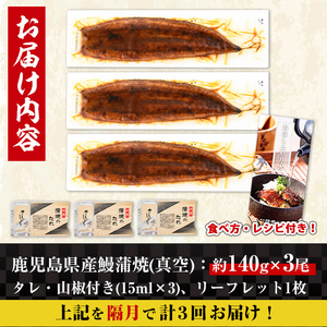 i854-B ＜定期便・計3回(隔月)＞鹿児島県産うなぎ蒲焼3尾セット＜(約140g×3・計約420g)×全3回＞うなぎ 鰻 ウナギ 2尾 蒲焼き 国産 鹿児島県産 焼きたて 生産量日本一 真空パック おかず 晩御飯 特別な日 土用の丑の日【薩摩川内鰻】