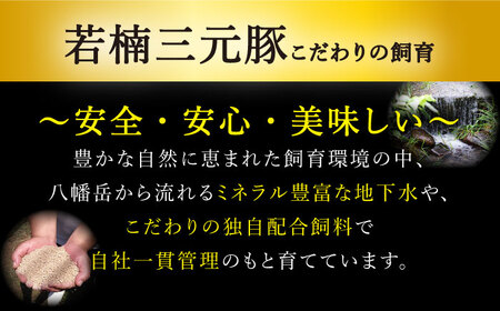 佐賀牛 若楠三元豚 ハンバーグ 食べ比べセット 計8個 /ナチュラルフーズ [UBH051] ハンバーグ