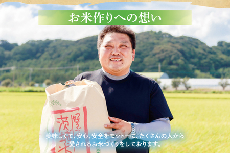 【精米】 食べ比べ 10kg こしひかり ミルキークイーン 令和7年産 精米 白米