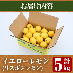 数量限定！リスボンイエローレモン(5kg) 国産 果実 果物 リスボンレモン フルーツ 檸檬 柑橘 デザート 期間限定【桐野柑橘株式会社】akn070-15