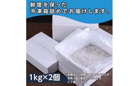 訳あり釜揚げシラス1kg×2個 高知県産 