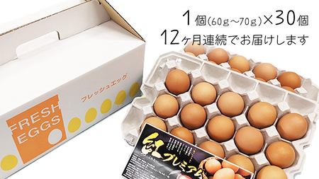 【 定期便 】【 全12回 コース 】 紅プレミアム 卵 30個 （ 25個 入り ＋ 割れ保障 5個 ）