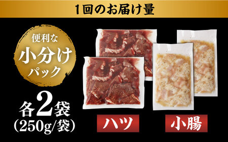 【全12回定期便】【塩だれ】九州産和牛 ホルモン 2種 計1kg（ ハツ 250g×2袋・ 小腸 250g×2袋） 長与町/岩永ホルモン [EAX141]国産 牛肉 ミックス 小分け 味付き 冷凍 焼肉