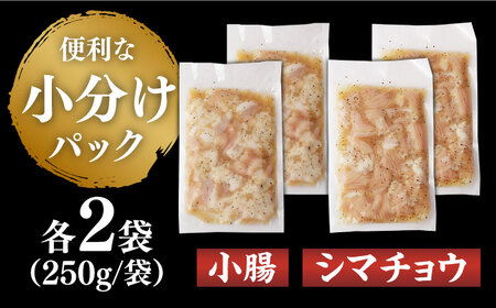 【塩だれ】 九州産和牛 ホルモン 2種 計1kg（ シマチョウ 250g×2袋・ 小腸 250g×2袋） 長与町/岩永ホルモン [EAX146]国産 牛肉 ミックス 小分け 味付き 冷凍 焼肉