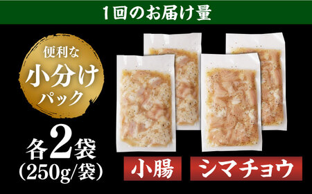 【全3回定期便】【塩だれ】 九州産和牛 ホルモン 2種 計1kg（ シマチョウ 250g×2袋・ 小腸 250g×2袋） 長与町/岩永ホルモン [EAX147]国産 牛肉 ミックス 小分け 味付き 冷凍 焼肉