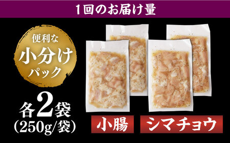 【全6回定期便】【塩だれ】 九州産和牛 ホルモン 2種 計1kg（ シマチョウ 250g×2袋・ 小腸 250g×2袋） 長与町/岩永ホルモン [EAX148]国産 牛肉 ミックス 小分け 味付き 冷凍 焼肉