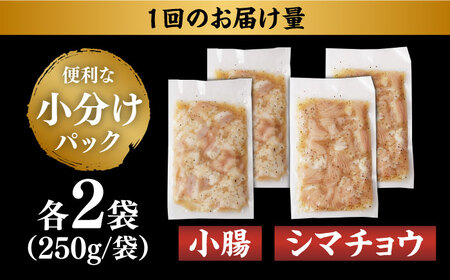 【全12回定期便】【塩だれ】 九州産和牛 ホルモン 2種 計1kg（ シマチョウ 250g×2袋・ 小腸 250g×2袋） 長与町/岩永ホルモン [EAX149]国産 牛肉 ミックス 小分け 味付き 冷凍 焼肉