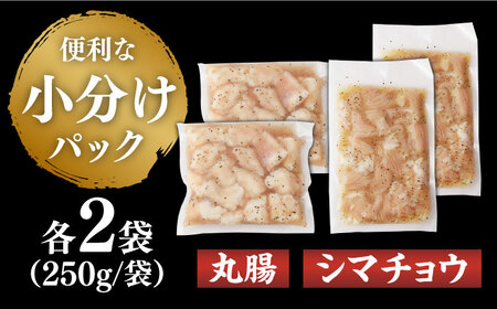 【塩だれ】九州産和牛 ホルモン 2種 計1kg（ シマチョウ 250g×2袋・ 丸腸 250g×2袋） 長与町/岩永ホルモン [EAX150]国産 牛肉 ミックス 小分け 味付き 冷凍 焼肉