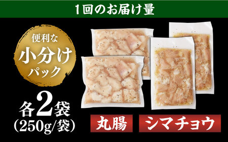 【全3回定期便】【塩だれ】九州産和牛 ホルモン 2種 計1kg（ シマチョウ 250g×2袋・ 丸腸 250g×2袋） 長与町/岩永ホルモン [EAX151]国産 牛肉 ミックス 小分け 味付き 冷凍 焼肉