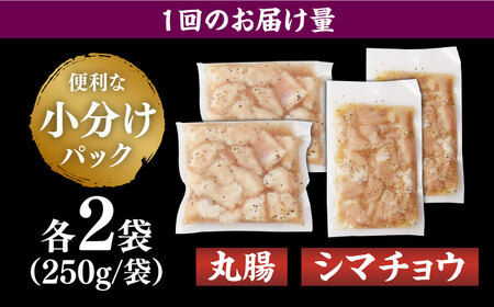 【全6回定期便】【塩だれ】九州産和牛 ホルモン 2種 計1kg（ シマチョウ 250g×2袋・ 丸腸 250g×2袋） 長与町/岩永ホルモン [EAX152]国産 牛肉 ミックス 小分け 味付き 冷凍 焼肉