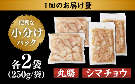 【全12回定期便】【塩だれ】九州産和牛 ホルモン 2種 計1kg（ シマチョウ 250g×2袋・ 丸腸 250g×2袋） 長与町/岩永ホルモン [EAX153]国産 牛肉 ミックス 小分け 味付き 冷凍 焼肉