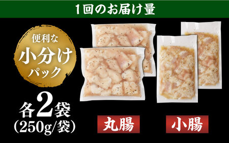 【全3回定期便】【塩だれ】 九州産和牛 ホルモン 2種 計1kg（ 小腸 250g×2袋・ 丸腸 250g×2袋） 長与町/岩永ホルモン [EAX155]国産 牛肉 ミックス 小分け 味付き 冷凍 焼肉