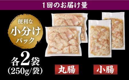 【全6回定期便】【塩だれ】 九州産和牛 ホルモン 2種 計1kg（ 小腸 250g×2袋・ 丸腸 250g×2袋） 長与町/岩永ホルモン [EAX156]国産 牛肉 ミックス 小分け 味付き 冷凍 焼肉