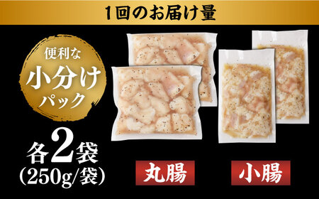 【全12回定期便】【塩だれ】 九州産和牛 ホルモン 2種 計1kg（ 小腸 250g×2袋・ 丸腸 250g×2袋） 長与町/岩永ホルモン [EAX157]国産 牛肉 ミックス 小分け 味付き 冷凍 焼肉