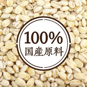 国産かけるだけもち麦 50g×10袋 防災 備蓄 保存 防災グッズ ストック