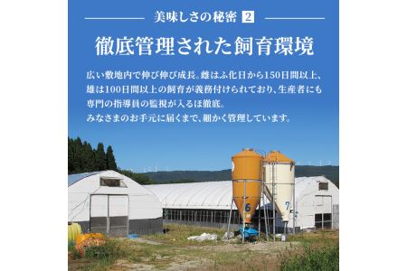 秋田県産比内地鶏肉の焼き鳥30本セット(15本×2袋)（やきとり 焼鳥 人気 冷凍 もも肉 むね肉） お肉 詰め合わせ 